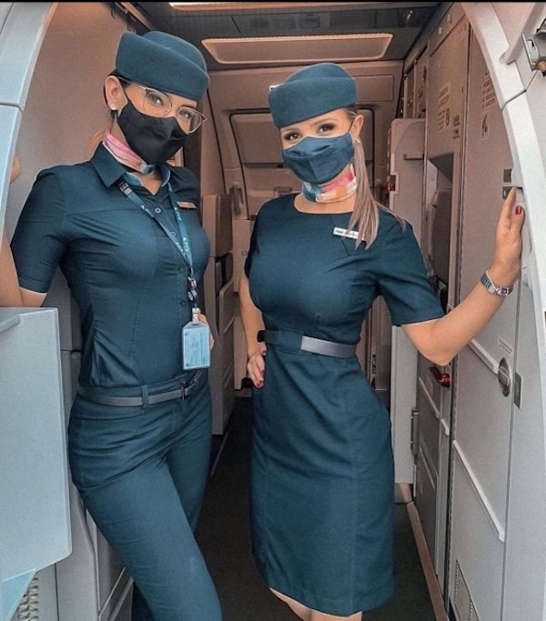 Agents de bord au travail et après