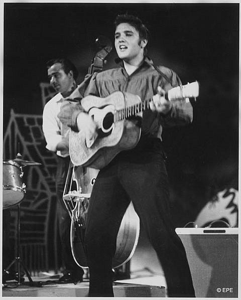 Elvis Presley : photos de sa vie
