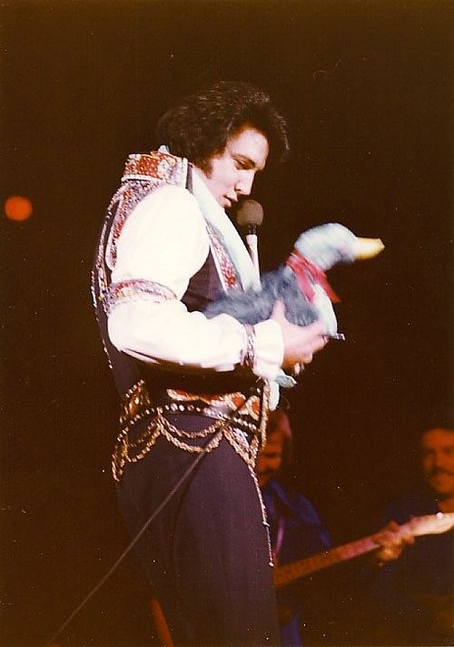 Elvis Presley : photos de sa vie