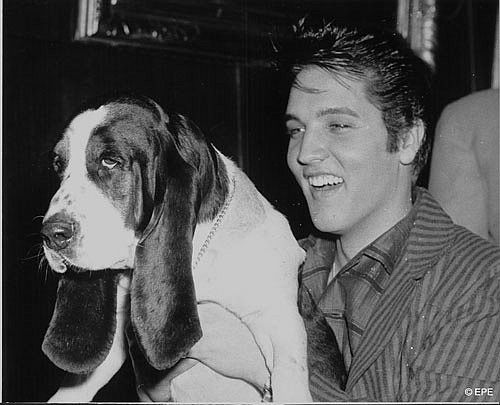 Elvis Presley : photos de sa vie