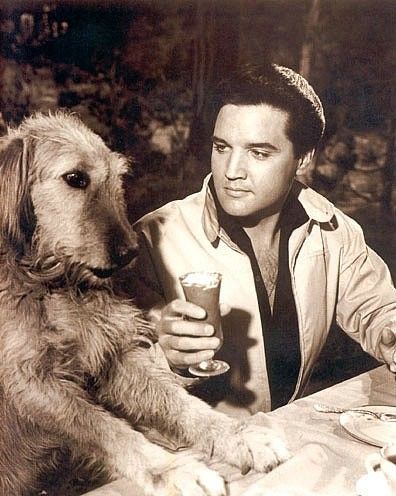 Elvis Presley : photos de sa vie
