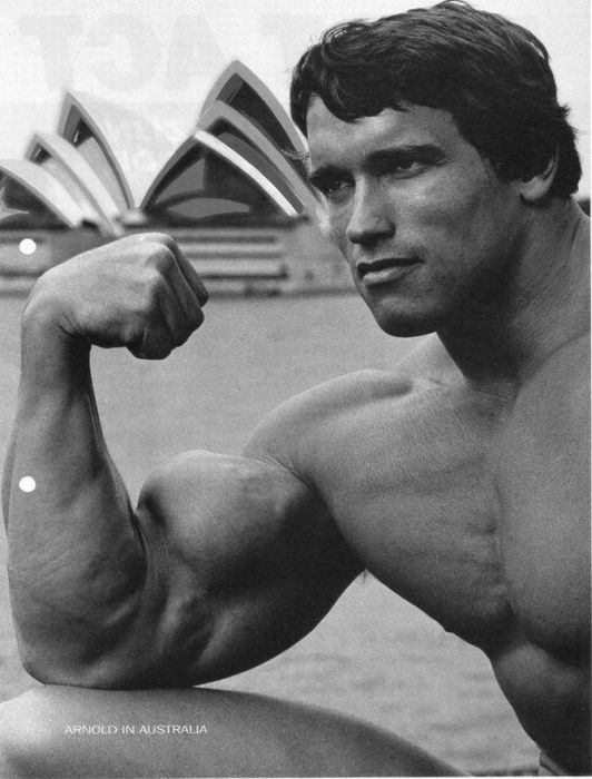 Arnold Schwarzenegger jeune