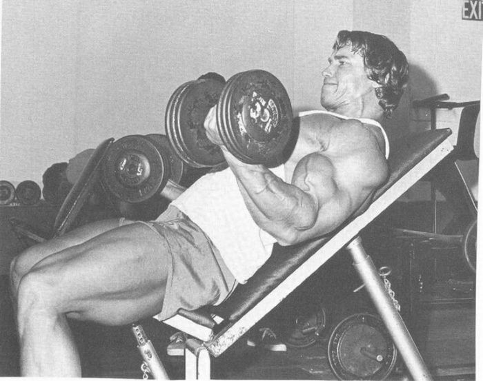 Arnold Schwarzenegger jeune