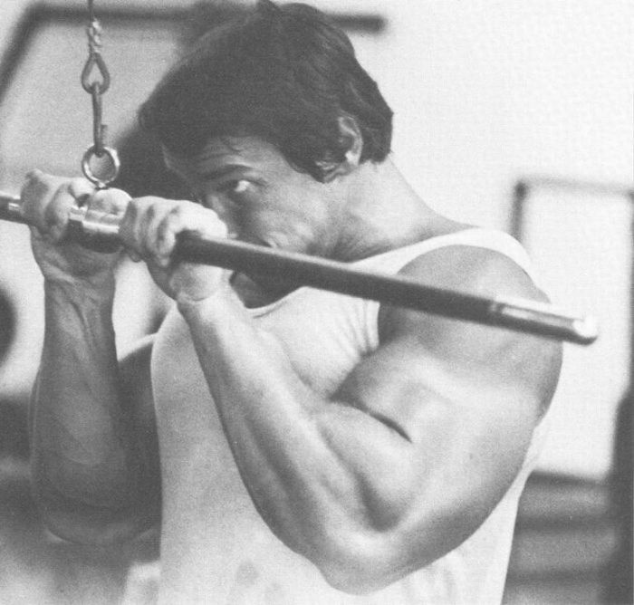 Arnold Schwarzenegger jeune