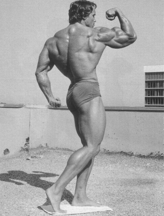 Arnold Schwarzenegger jeune