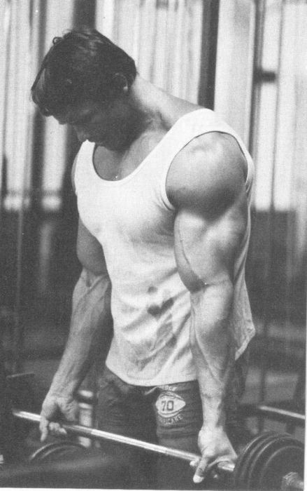 Arnold Schwarzenegger jeune
