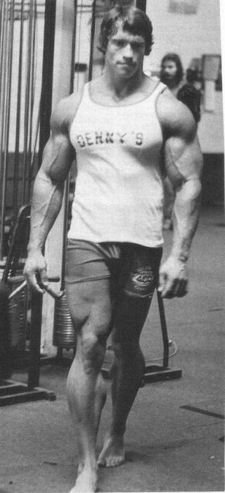 Arnold Schwarzenegger jeune
