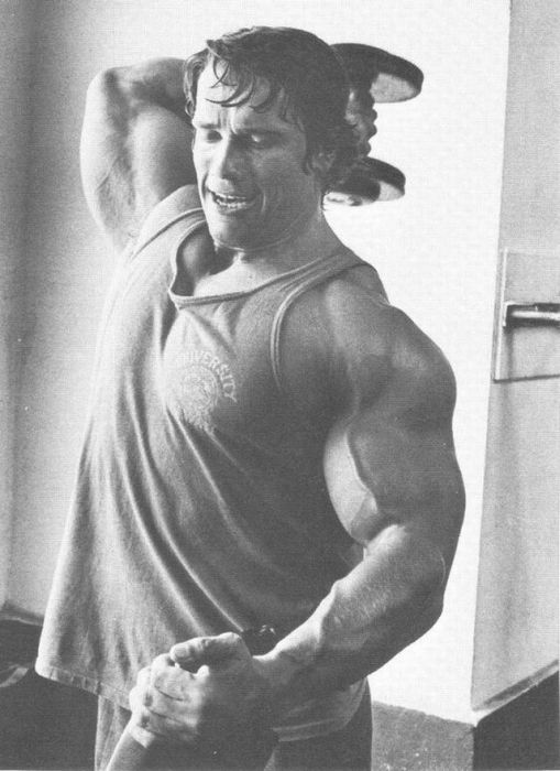 Arnold Schwarzenegger jeune