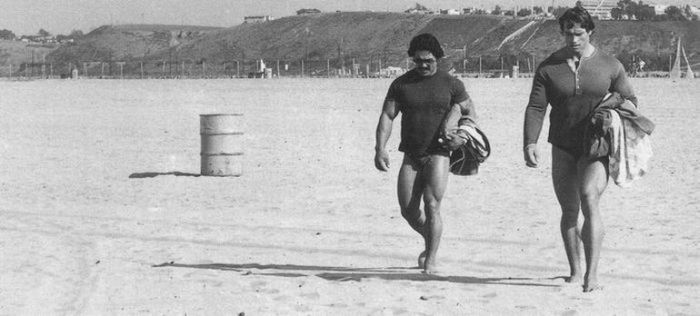 Arnold Schwarzenegger jeune