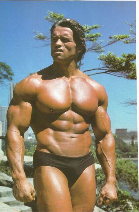 Arnold Schwarzenegger jeune