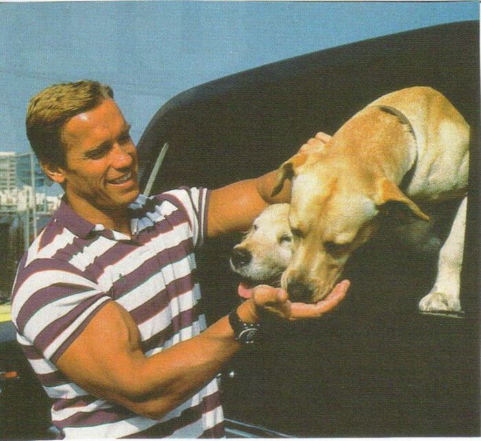 Arnold Schwarzenegger jeune