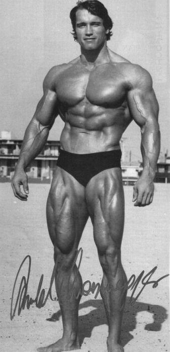 Arnold Schwarzenegger jeune