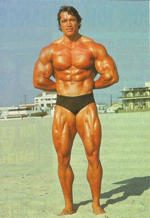 Arnold Schwarzenegger jeune
