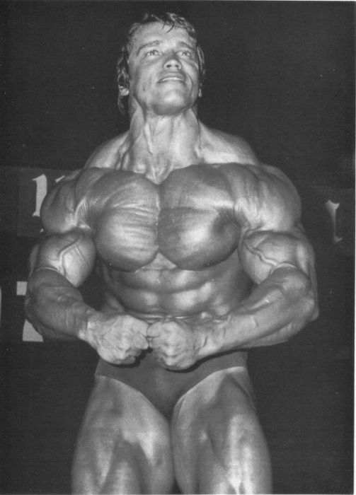 Arnold Schwarzenegger jeune