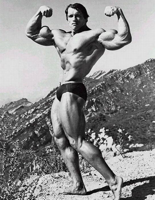Arnold Schwarzenegger jeune