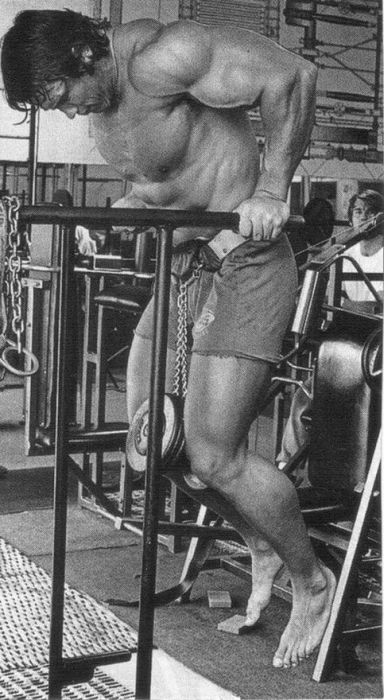 Arnold Schwarzenegger jeune