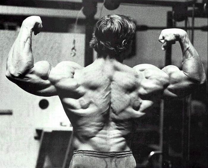 Arnold Schwarzenegger jeune