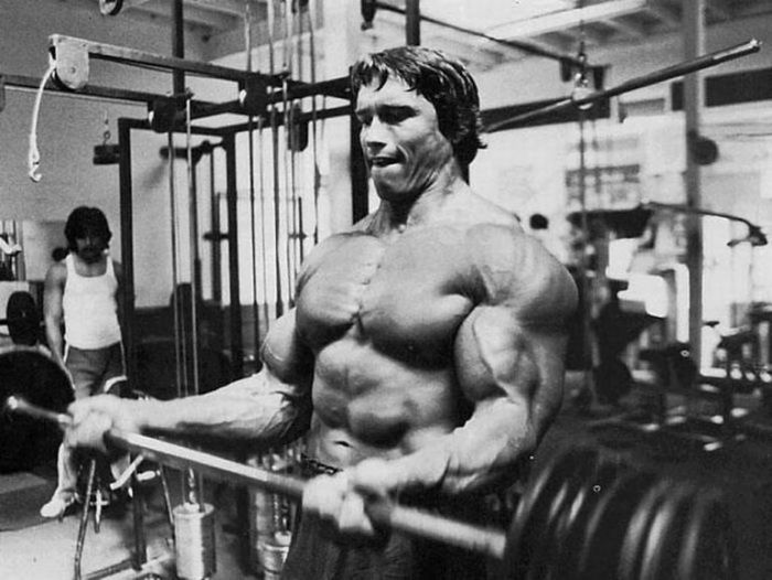 Arnold Schwarzenegger jeune