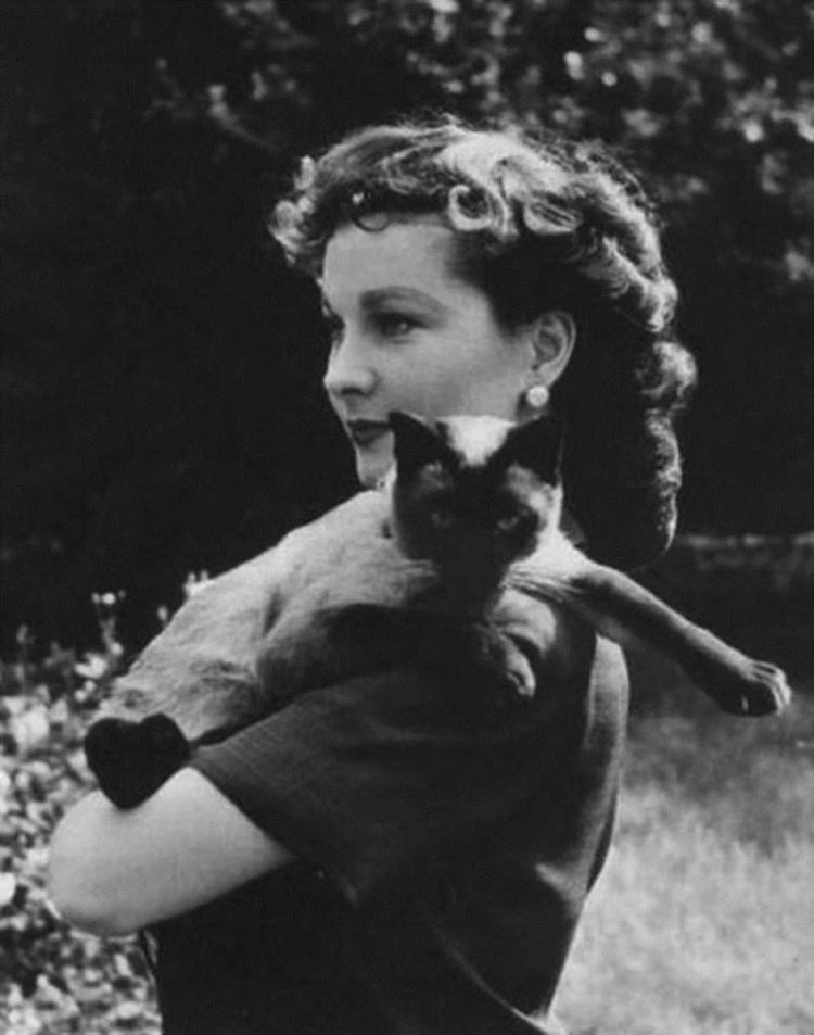 Les plus belles années de Vivien Leigh
