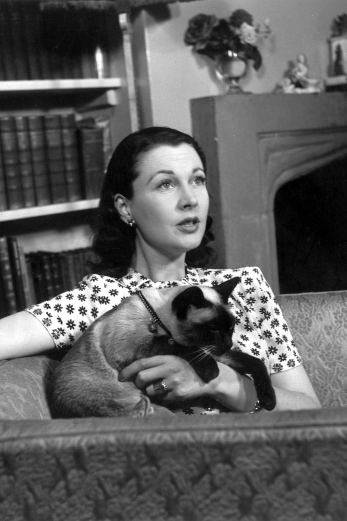 Les plus belles années de Vivien Leigh